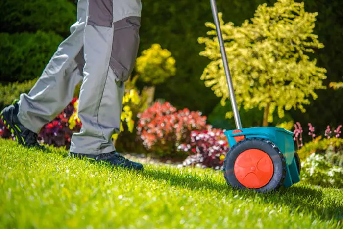 Landscaping Landscaping