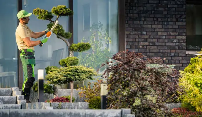 Landscaping Landscaping