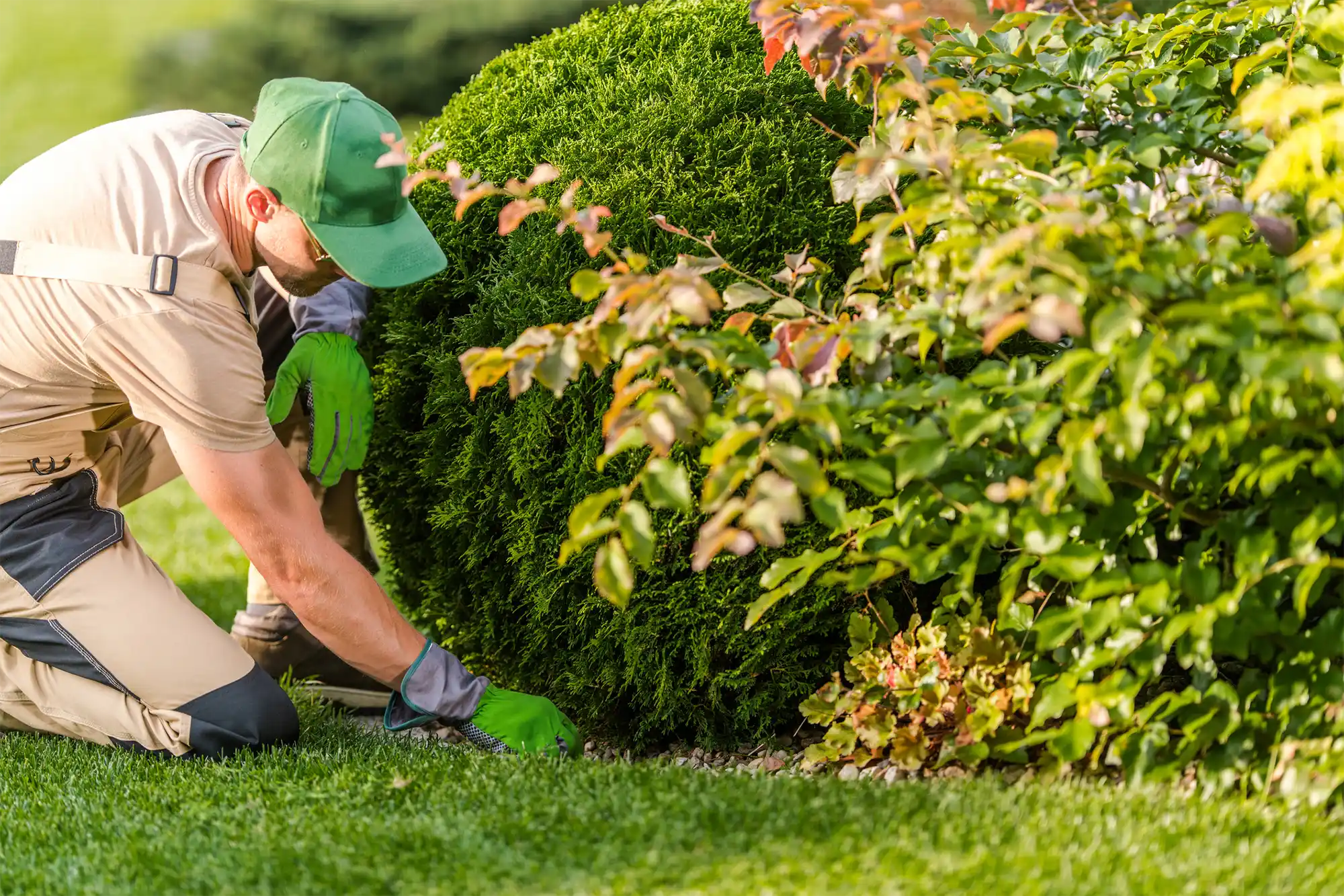 Landscaper Landscaper