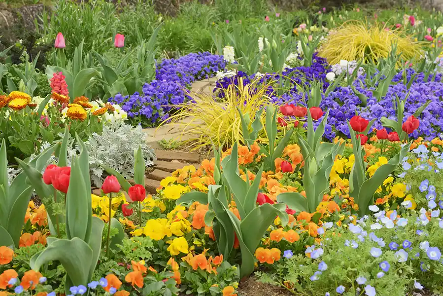 Ivs Tree Service & Landscaping's other services Ivs Tree Service & Landscaping's other services