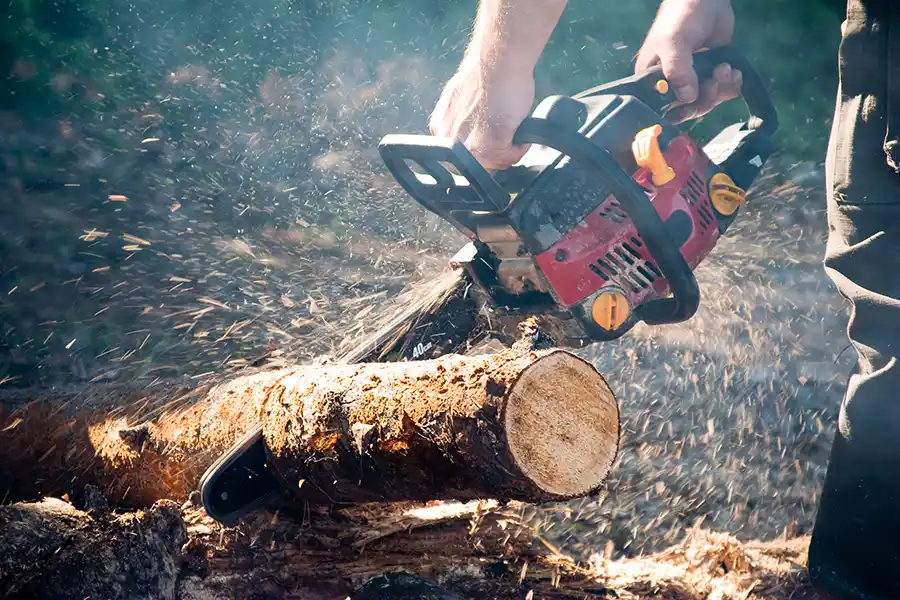 Landscaping Landscaping