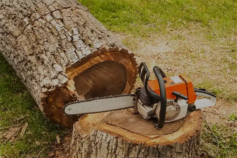 Landscaping Landscaping