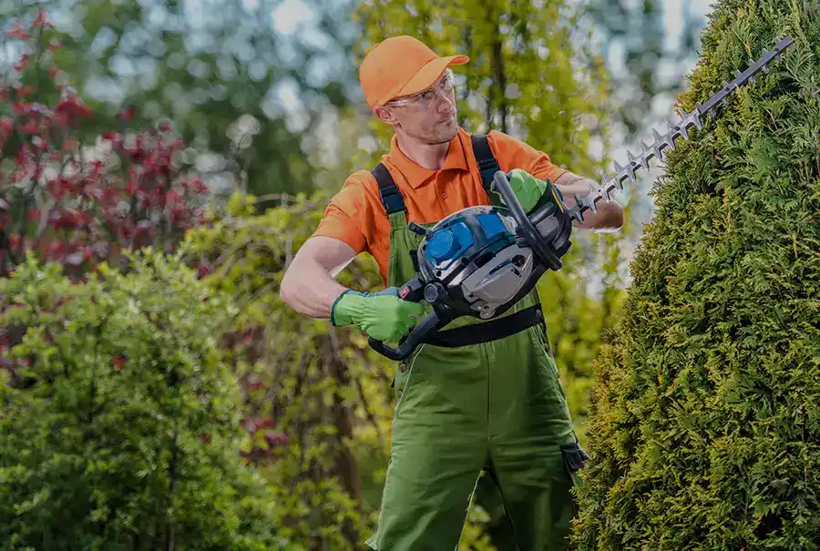 Landscaping Landscaping